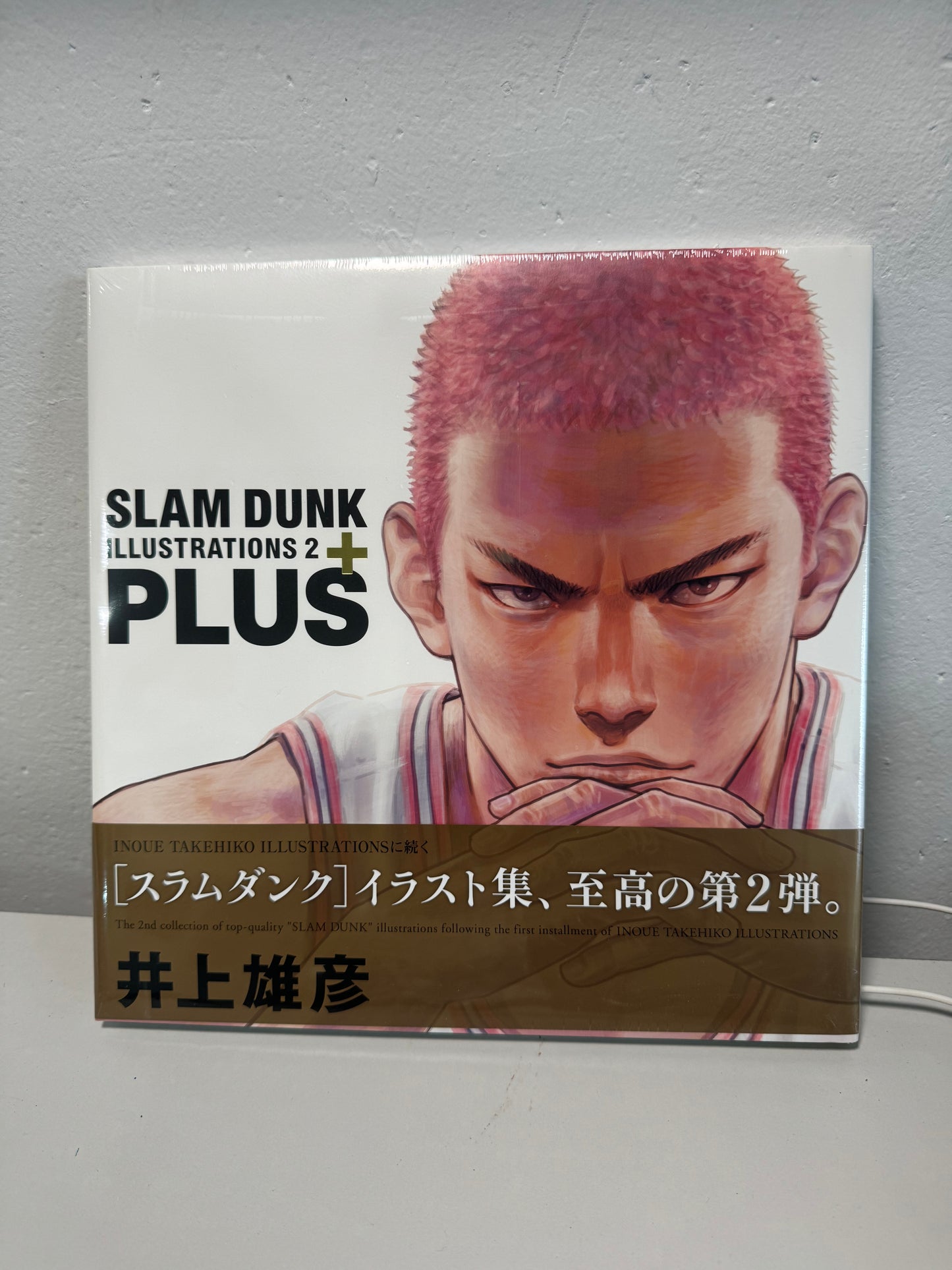 Slam Dunk Illustration 2 plus 男兒當入樽 畫冊